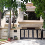 Hair Transplant Institute