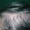 7 grade hair loss