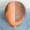 Can hair grow back after thinning male