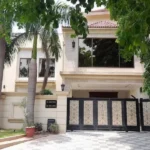 Can stage 2 baldness be cured