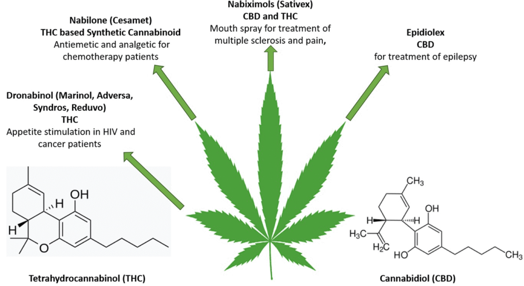 Weed and Hair Loss