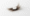 Can Cetirizine Cause Hair Loss