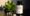 Arginine For Hair Loss