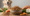 Best Food for Dog Hair Loss