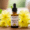 Primrose Oil for Hair Loss