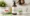 The Best Shampoo for PCOS Hair Loss