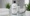 The Best Shampoo to Use After a Hair Transplant
