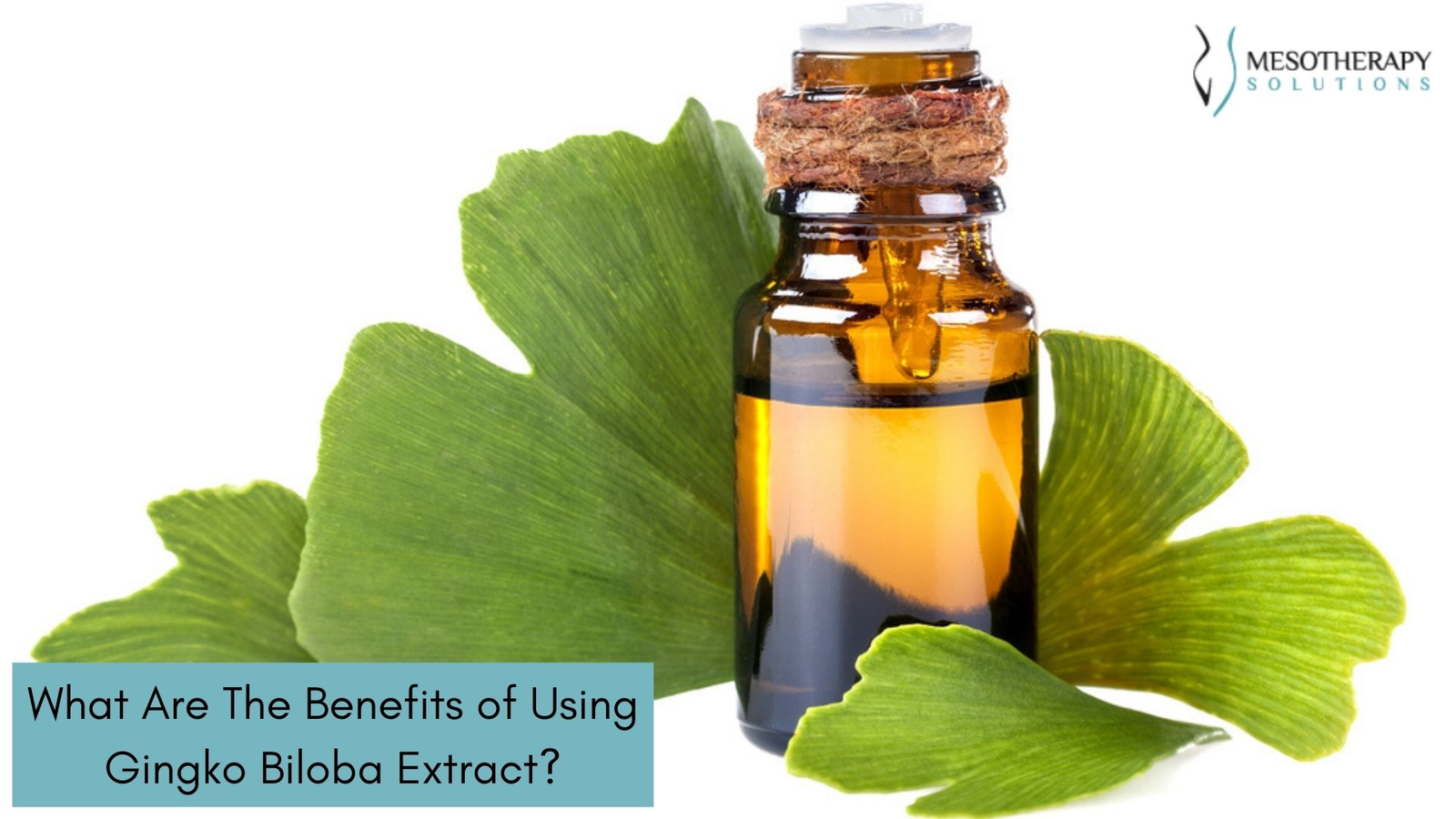 Ginkgo Biloba for Hair Loss