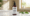WOW Shampoo for Hair Loss