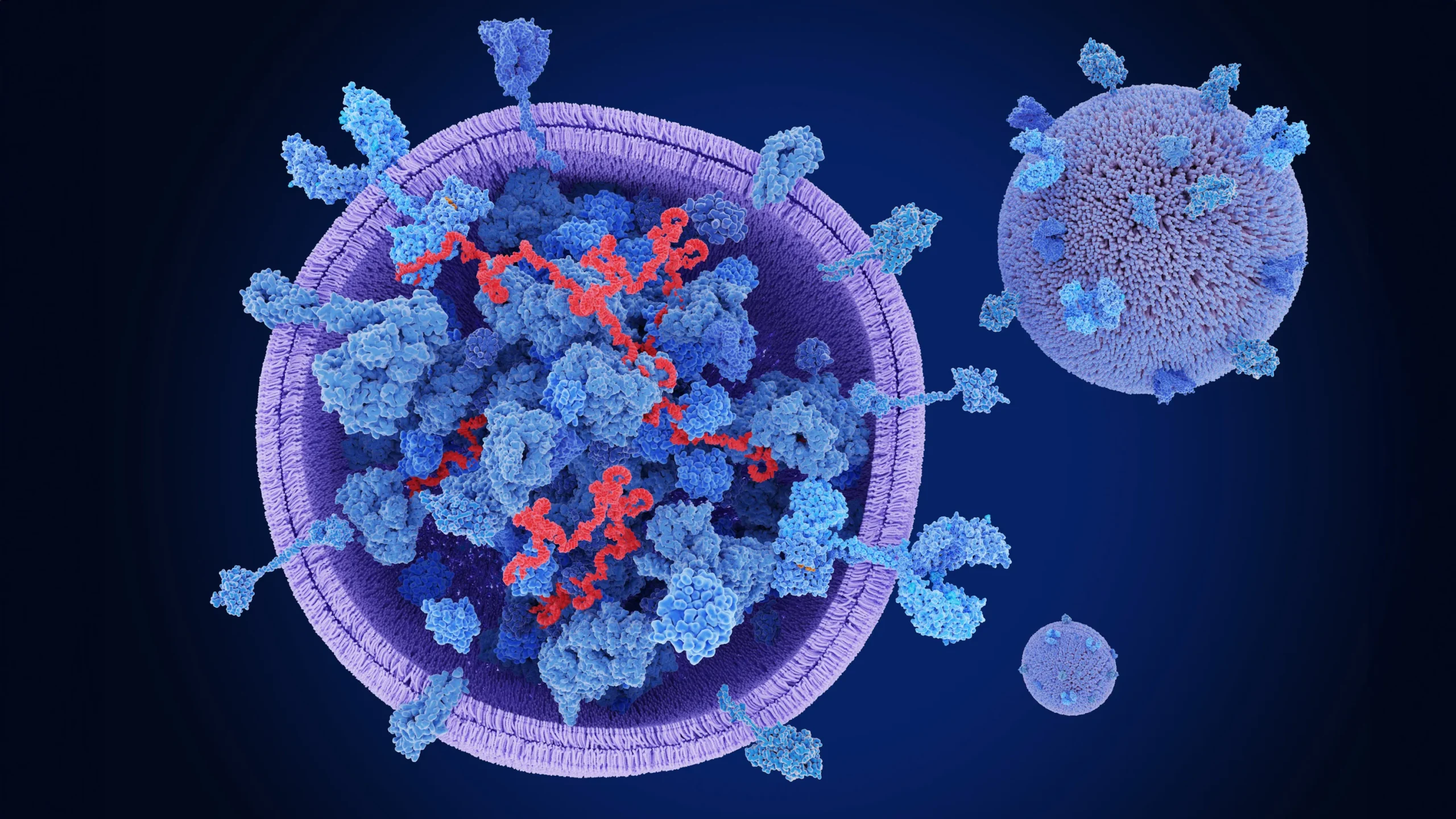 Are Exosomes Stem Cells
